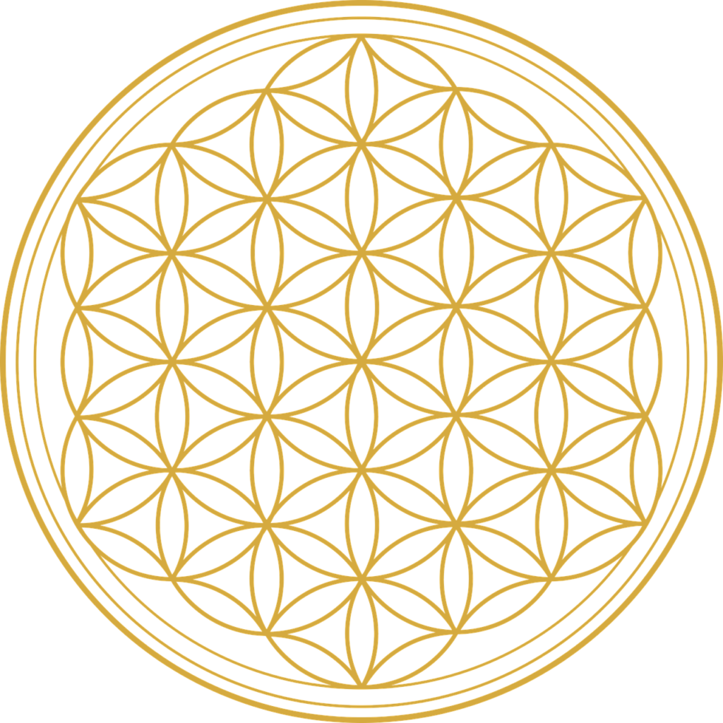 flower of life, flower, graphic-2648527.jpg